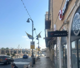 عريضة تطالب بانزال أعلام المثليين من شوارع مدينة يافا